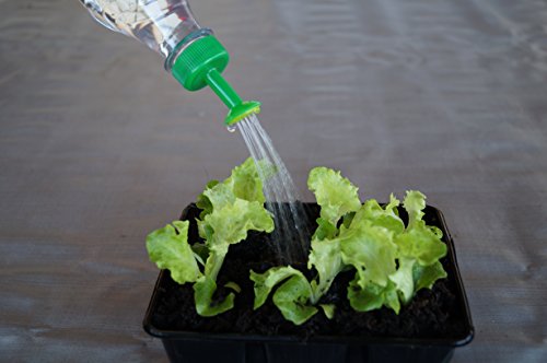 Gießaufsätze für Wasserflaschen. 4 Stück im Set. Perfekt für die Pflanzenaufzucht, Setzlinge, Bonsai, Samen. - 6