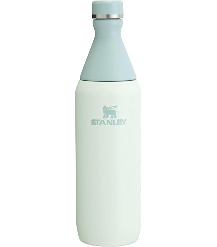 Stanley All Day Slim Wasserflasche – 590 Ml, Isolierte Edelstahlflasche, Schlank, BPA-frei, Granatglanz | Für Reisen & Fitness