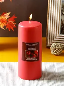 Hosley Apple Cinnamon Highly Fragranced 6inch Pillar Candle