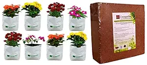 Cocogarden Medium Size Poly Growbags -Uv Stabilized -8 Qty [24Cms(L) X24Cms(W) X40Cms(H)],White & Cocogarden Cocopeat Block - Expands Up to 75 litres of Coco Peat Powder