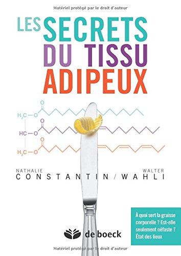 Les secrets du tissu adipeux