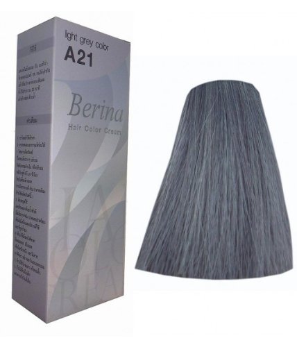 Hair Colour Permanent Hair Cream Dye Light Ash Grey