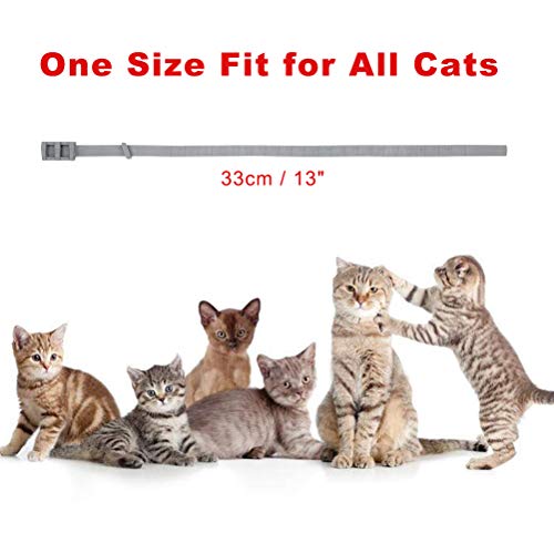 SCENEREAL-Collier-Anti-puces-et-tiques-pour-Chat-8-Mois-de-Protection-rglable-pour-Chatons-Chiots-et-Petits-Animaux-domestiques