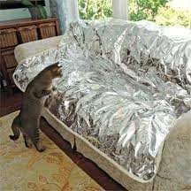 keep dog off couch mat