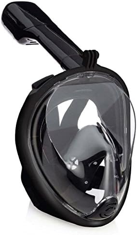 Snorkel Mask: (Black, L - XL)