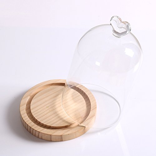 Gazechimp Glashaube Glasglocke Glassturz mit Holzboden Fairy Garten Terrarium Diy Landschaften Blumen Vase Haus Dekoration Herz - 7