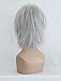 Beauty Smooth Hair Women Short Length Silvery White Cosplay Party Peru Corner COSL1017
