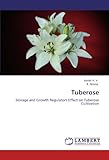 Image de Tuberose: Storage and Growth Regulators Effect on Tuberose Cultivation