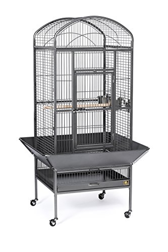 PREVUE PET PRODUCTS 34521 Dometop Bird Cage, Large, Black Hammertone