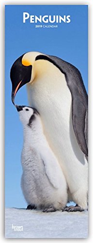 Penguins 2019 Slimline Calendar en ligne Penguins 2019 Slimline Calendar en ligne