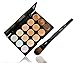 LyDia 15 Colours Cream Concealer/Highlight/Face Contour Camouflage Palette Dull/Redness Skin/Black Circle kit set + LyDia Black Foundation/Concealer Brush F-010