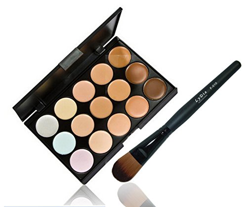 LyDia 15 Colours Cream Concealer/Highlight/Face Contour Camouflage Palette Dull/Redness Skin/Black Circle kit set + LyDia Black Foundation/Concealer Brush F-010