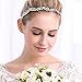 Produktbild DEQIAODE Bridal Strass Haarband einfachen Olivenzweig Styling Haarschmuck