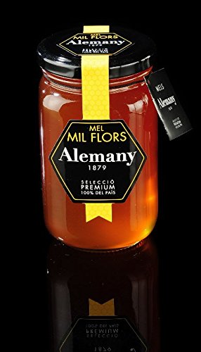 Preisvergleich Produktbild ceragi Honig Tausend Blumen Alemany 500 g