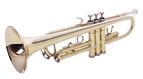 Windsor Student Bb Trompete komplett mit Koffer, Goldlackiert [UK import]