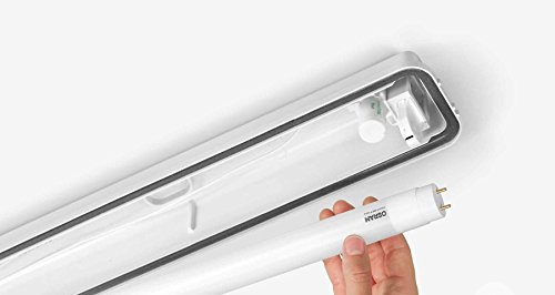 OSRAM LED-Feuchtraumleuchte G13 SubMarine T8 / LED-Röhre 120cm Länge / diffuse Abdeckung, IP65 / kaltweiß – 4000K - 7