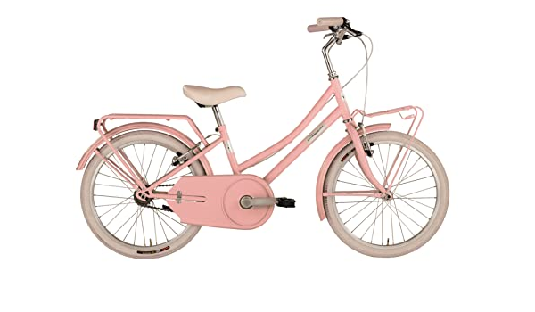 Alpina Bike Olandesina, Bicicletta da Città Kids, Rosa Barbie, 20 : Sport e  tempo libero