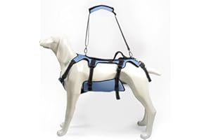 COODEO Uprząż do podnoszenia psa, wsparcie całego ciała i opaska rehabilitacyjna z regulowanymi, oddychającymi paskami dla starszych psów, osób niepełnosprawnych, z zapaleniem stawów, paraliżem lub