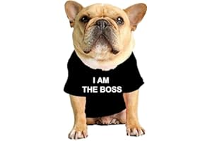 ShopINess Maglietta Divertente per Cane Gatto e Animali Domestici con la Frase I am the Boss Sono il Capo (XL, Nero)