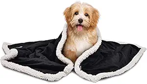 Pawsome Blanket for Dogs Cats, Warm Flannel Plush Pet Bed Blanket Reversible Black (Small)