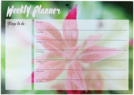 A4 Weekly Planner and Things to Do Notepad - Floral