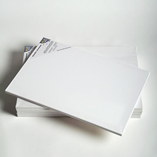 6 B.K. BASIC LEINWÄNDE AUF KEILRAHMEN 35×100 cm | Qualitäts Malgrund, malfertig, 100% Baumwolle - 2
