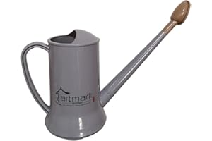 YTFSKFUI Indoor Outdoor Watering Can, Small Watering Can With Removable Long Spout, Elegant Plastic Garden Watering Can With Rose Head, 2l Large Capacity Plant Watering Can, Gray