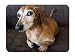Produktbild Mouse Pad - Dog Eyes Sofa - Customized Rectangle Non-Slip Rubber Mousepad Gaming Mouse Pad