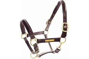 Umbria Equitazione - Licol cuir double avec plaque en laiton et double réglage Soin du cheval en écurie.