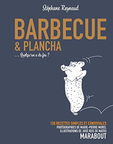 Barbecue et plancha