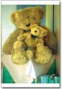 Digital Inc. 4x6 50 Prints Photo Paper & Ribbon Pack for S400/420 Printer - Carton (12 Packs) by HiTi