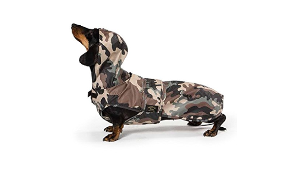 amazon dachshund coat