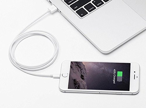 iPhone Kabel, Leginda 4er Pack 2M Lightning Kabel Lange USB Kabel Aufladen Kabel für iPhone7,7plus, 6s, 6s plus, 6plus, 6, SE, 5s 5c 5, iPad Mini/Air iPad5, iPod (Weiße) - 3
