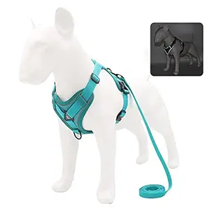BLACKDOG Harness with Leash for Small Dog and Cat | No Pull Harness | Chest Belt | Washable Reflective Breathable Adjustable Pet Vest for Outdoor Walking- No Pulling, Tugging (X-Large, Sky Blue)