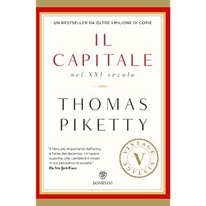 Il capitale nel XXI secolo (VINTAGE)