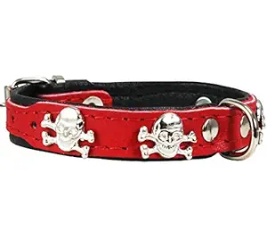 Real Leather Skull Studded Padded Dog Collar (6