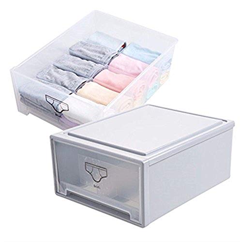 Preisvergleich Produktbild Huyizhi Speicherzubehör für Zuhause Unterwäsche BH Transparente Patrone Kunststoff Unterwäsche Socken 30,5 * 24,5 * 13 cm Aufbewahrungsboxen 10 Format