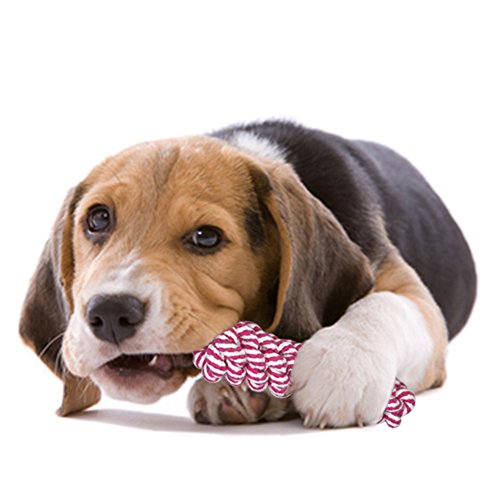 Pet-Dog-Rope-Toy-for-Small-to-Medium-Dogs-Set-of-10-Variety-Training-Toy-Gift-Set-for-Puppy-Doggie-Teeth-Cleaning-Assortment-of-Tassels-Tug-Rope-Chew-Cutton-Ball-Rubber-Dental-Toy