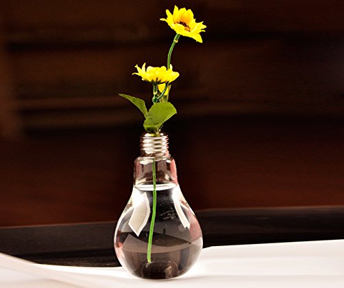 Gazechimp Klare Lampenglas Blühbirne – Glühbirnenvase Vase Flasche Für Pflanzenblumenschmuck - 5