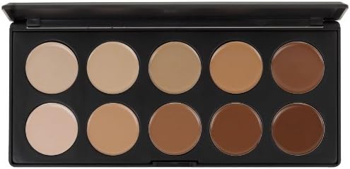 Blush Professional 10 Colour Concealer Palette