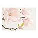 Produktbild Vliestapete - Blumentapete Royal Magnolia Fototapete Breit Vlies Tapete Wandtapete Wandbild Foto, Größe HxB:320cm x 480cm