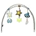 Chicco Hoopla Bouncer - Silver