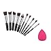 Imported Pro 10pcs Face Contour Blusher Eyeshadow Make Up Brushes Set + Powder Puff RS.395.00