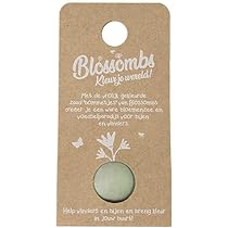 Flower Bombs – Lot De 100 Bombes De Graines De Fleurs Sauvages Biologiques – Cadeau écologique, Fait Main