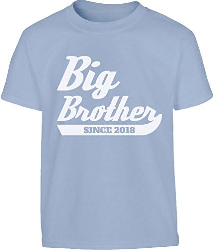Shirtgeil Gifts for Siblings - Big Brother Since 2018 Toddler Kids T-Shirt 2-3 Years (98) Light blue
