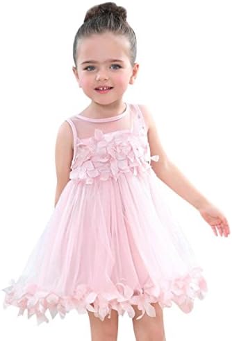 GreatestPAK Summer Girls Tutu Mesh Dress, Baby Princess Applique Flower Sleeveless Children Cute Clothes (Pink, 80)