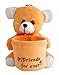 Aarushi Teddy Bear Soft Toy With Pen Holder RS.249.00