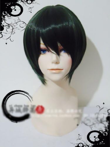 Prince Seigaku Echizen Ryoma Cosplay Wig Tennis (japan import)