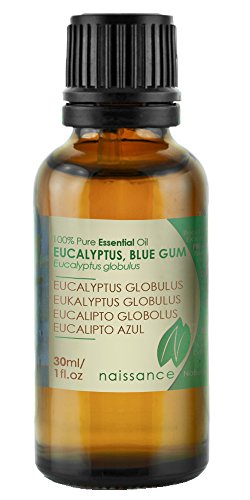 Eukalyptus Öl - Eucalyptus Globulus - 100% naturreines ätherisches Öl - 30ml