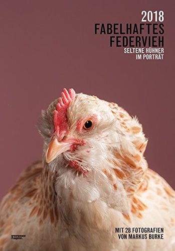 Fabelhaftes Federvieh: Seltene Hühner im Porträt